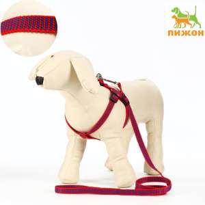 Комплект для собак Шлейка 36-49см + поводок 120см рельефный красно-синий Пижон для собак