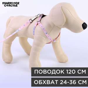Комплект для собак Ласточки шлейка 24-36см + поводок 120см*1см