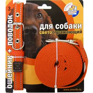 Комплект для собак ошейник 37-51см*25мм + поводок 3м оранжевый светоотражающий капрон Зооник для собак