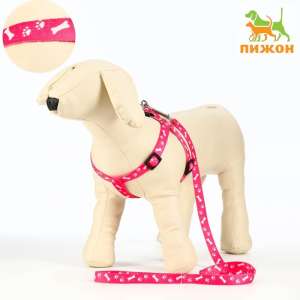 Комплект для собак Косточки и лапки Шлейка 30-44см*1,5см + Поводок 120см*1см розовый Пижон для собак