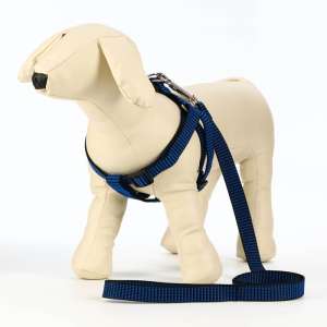 Комплект для собак Шлейка 44-50см*2см + Поводок 120см сине-черный Пижон для собак