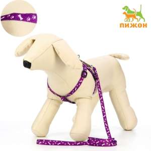 Комплект шлейка 28-47см + поводок 120см Классика фиолетовый Пижон  для собак
