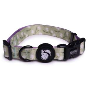 Ошейник для собак LionPets с рисунком LPO-00500-10 (XS-Обхват 19-28 см, ширина 1,5 см)