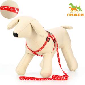 Комплект для собак Классика Шлейка 21-35см + Поводок 120см*1см капрон красный Пижон  для собак