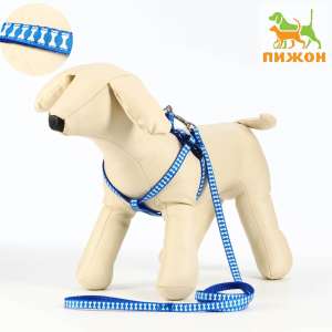 Комплект для собак Шлейка 23-35см*1см + Поводок 120см Косточки синий Пижон для собак