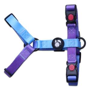 Шлейка для собак LP23-6  (Размер S обхват груди 28-40 см, шея 24-32 см) LION