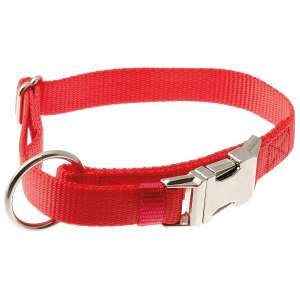 Ошейник с большим кольцом с регулировкой 20мм 32-45см металл фастекс красный Пет Лайн для собак