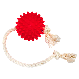 Игрушка для собак Мяч на веревке (мяч 6см, веревка27см) Зооник
