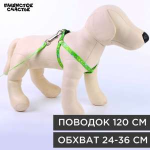 Комплект для собак Шлейка 24-36см*1см + Поводок 120см*1см Авокадо Пижон для собак