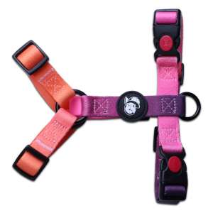 Шлейка для собак LP23-7  (Размер L обхват груди 46-72 см, шея 38-58 см) LION