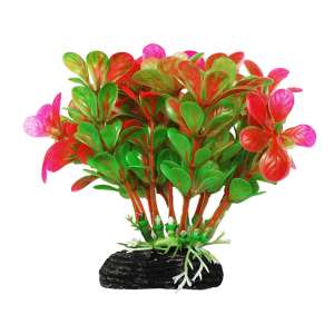 Растение аквариумное Бакопа зелено-розовая 11см Уют