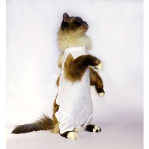 Попона послеоперационная для кошек со штанишками №1 OSSO (длина спины, см 18-21)