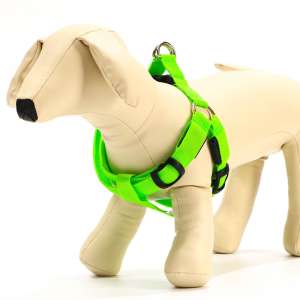 Шлейка 30-60см*2см светящаяся на батарейках XL 3 режима свечения зеленая Пижон для собак