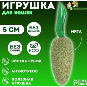 Игрушка для кошек из кошачьей мяты «Морковка», 5 см Пижон