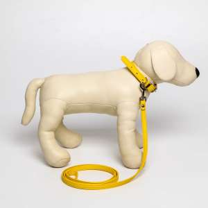 Комплект для собак Ошейник 26-34см*1,4см + Поводок 120см*1см из экокожи желтый для собак