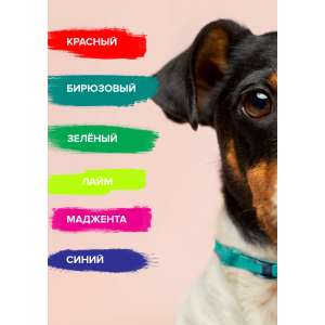 Дана Ультра Ошейник для собак 60см, зеленый (от блох, клещей, вшей, власоедов) для собак