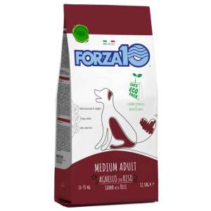 Форца10/Forza10 Maintenance Корм для собак средних и крупных пород Ягненок с рисом 12,5кг