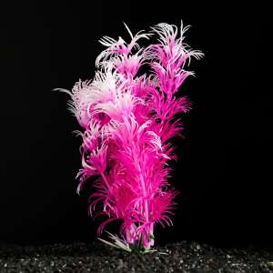 Растение аквариумное розово-белое 3*13см в ассортименте
