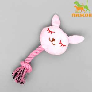 Игрушка для собак мягкая Зайка с канатом 18см розовая Пижон