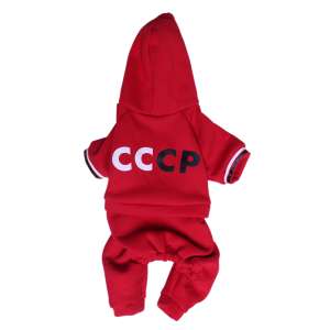 Спортивный костюм c капюшоном р.XL спинка 35 LPK-00436 LION