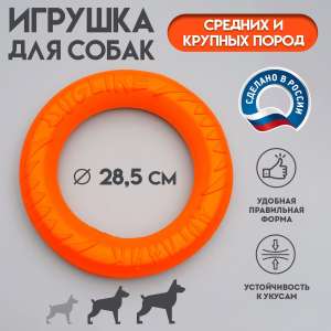 Игрушка для собак Кольцо «ДогЛайк» D-2612, 8-мигранное, среднее ⌀ 28.5 см Пижон