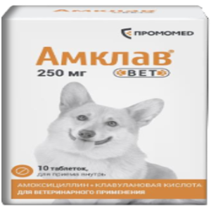 Амклав Вет таб 250мг №10 банка (амоксициллин,клавулановая кислота)