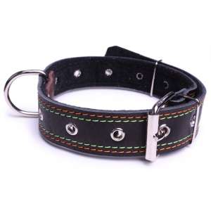 Ошейник кожаный LionPets, с синтепоном б/р, с кольцом, ширина 35 мм AN-110 в асс.