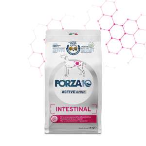 Форца10/Forza10 Intestinal корм для собак с проблемами ЖКТ 1,5кг