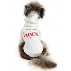 Толстовка с капюшоном LPK-0426 р.M, спинка 27см белая LION 