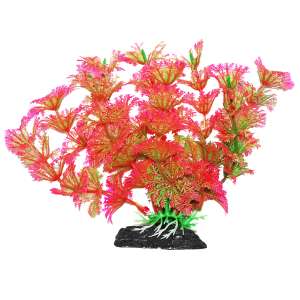 Растение аквариумное Амбулия розово-зеленая 11см Уют для рыб