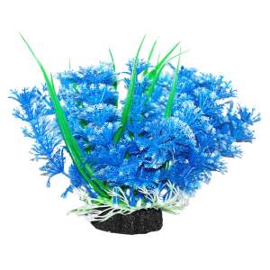 Растение аквариумное Амбулия голубая с кружевными листьями 12см Уют для рыб