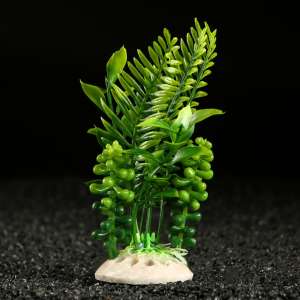 Растение аквариумное искусственное 18*9*14см зеленое Пижон