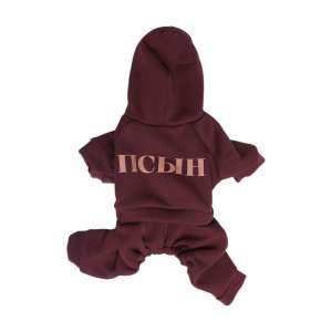 Спортивный костюм c капюшоном р.XL спинка 25 LPK-00427 LION