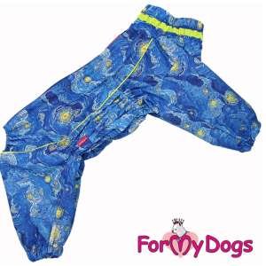 Дождевик для мальчиков В3, спинка 50см Звёздная ночь Ван Гог