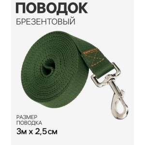 Поводок брезентовый, 3 м × 2.5 см, хаки