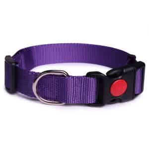 Ошейник для собак LionPets LPO-045-6 (Фиолетовый) (S-Обхват 28-48 см, ширина 2,0 см)