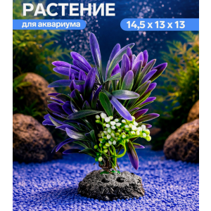 Растение аквариумное, 14.5×13×13 см