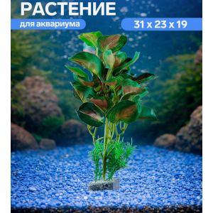 Растение аквариумное В горшочке, 31×23×19 см